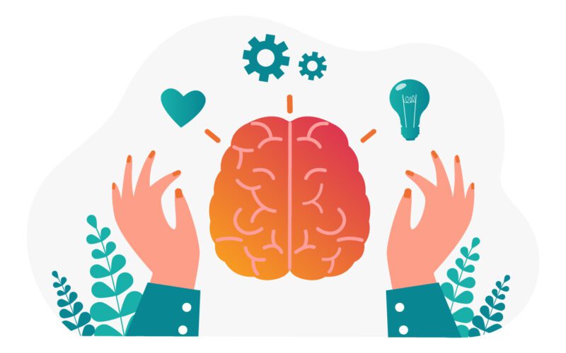 Left & Right Side of Brain Infographic